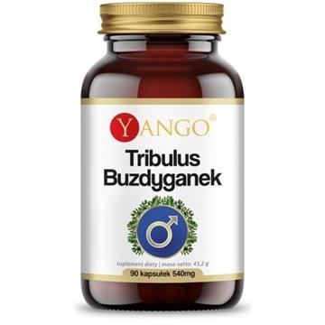 Yango Tribulus Buzdyganek 540 mg 90 k ukł. moczowy-11010