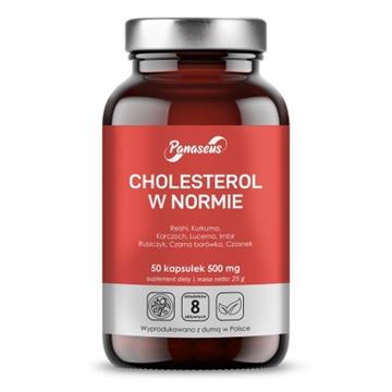 Panaseus Cholesterol w normie 50 k 500 mg -18533