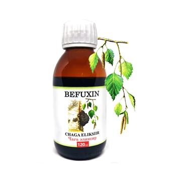 Befungin Czaga Ekstrakt 120 ml -21753