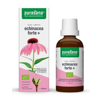 Purasana Echinacea Forte jeżówka purpurowa bio 50 -13606