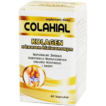 Gorvita Kolagen Z Kwasem Hialuronowym  60 K-3731