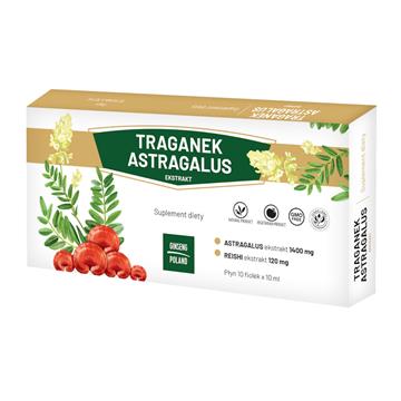 Ginseng Poland Traganek Astragalus 10 X 10 fiolek -15544