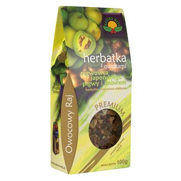 Natura Wita Herbata Pigwowiec, Pigwa I Imbir 100G-6447