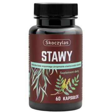 Skoczylas Stawy 60 kap-21698