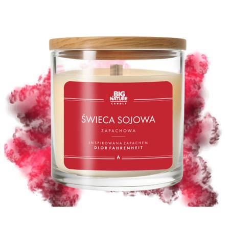 Big Nature Świeca Sojowa DIOR FAHRENHEIT 215 g-23185