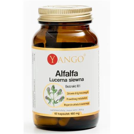 Yango Alfalfa lucerna siewna 480 mg 60 kapsułek-27943